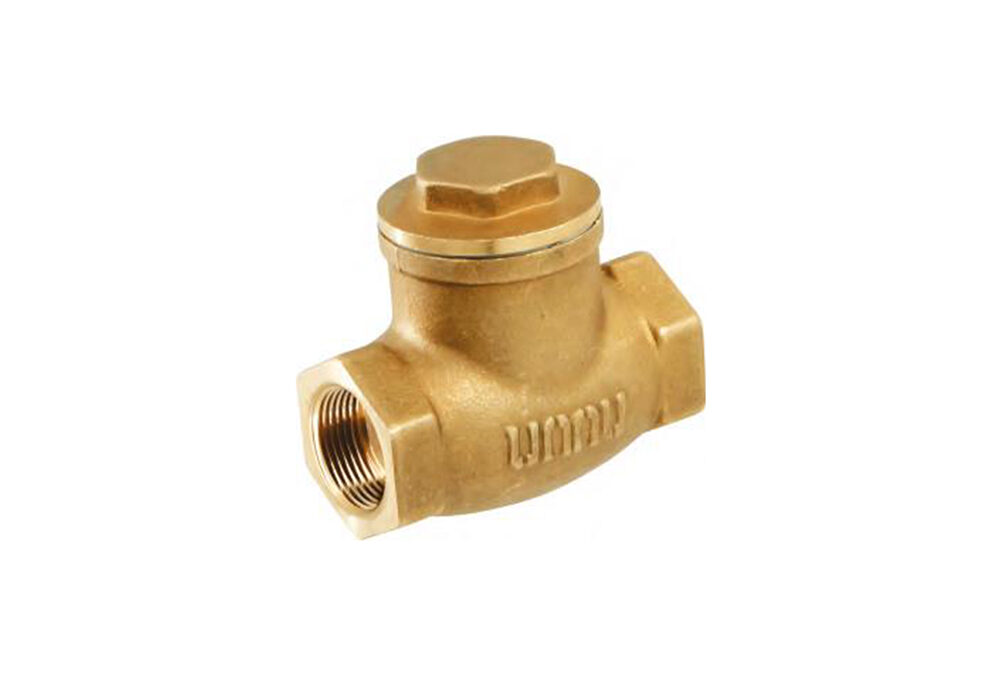 Check Valve