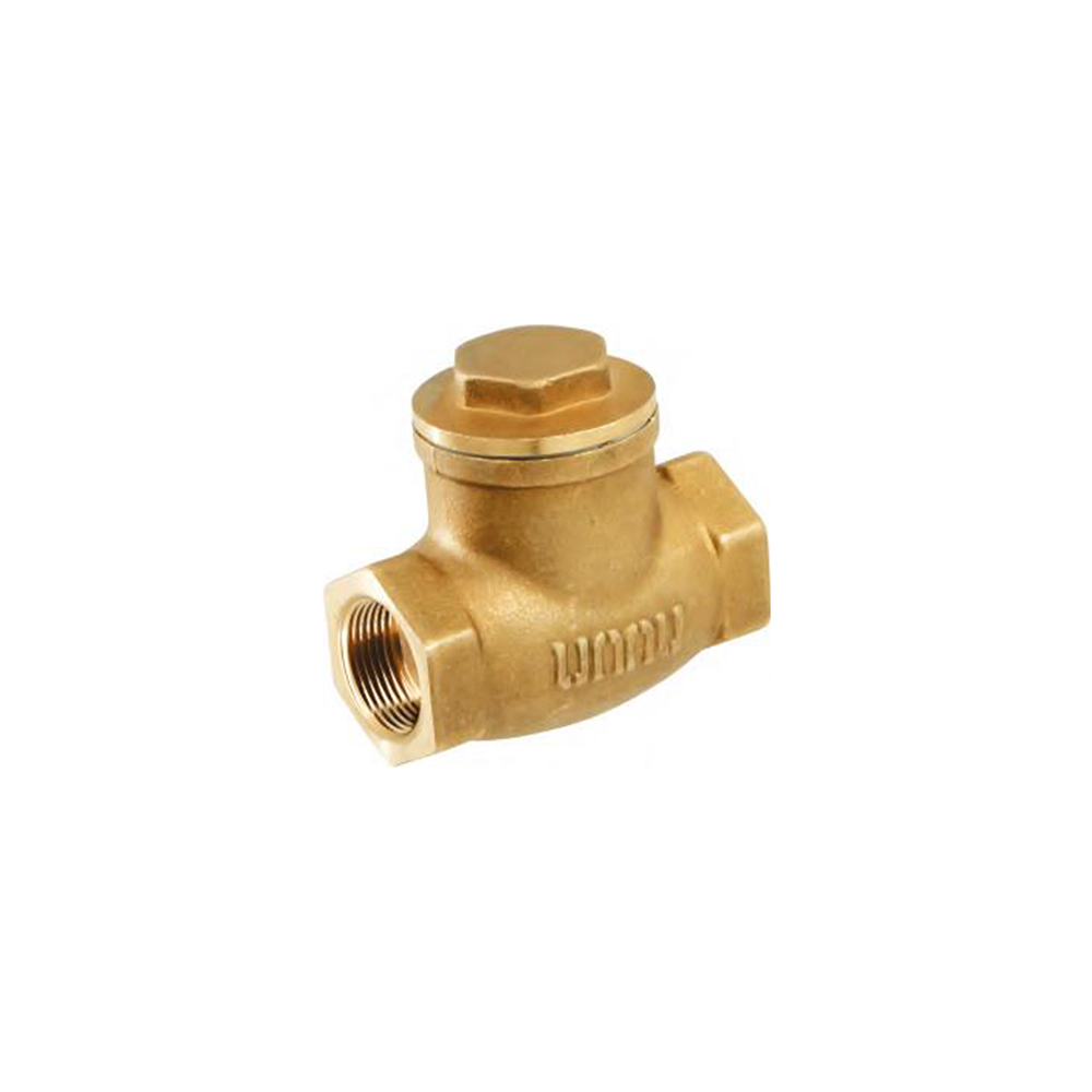 Check Valve